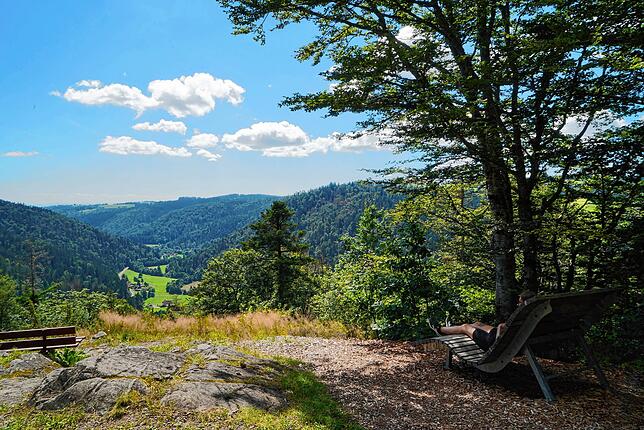 Klosterweg St.-Blasien Waldshut
