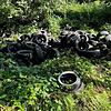 100 alte Reifen sind im Wald bei Albbruck illegal entsorgt worden. Die Polizei sucht Zeugen.