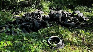 100 alte Reifen sind im Wald bei Albbruck illegal entsorgt worden. Die Polizei sucht Zeugen.