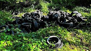 100 alte Reifen sind im Wald bei Albbruck illegal entsorgt worden. Die Polizei sucht Zeugen.