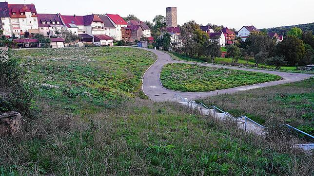 Im Tengener Neubaugebiet Amtsgarten wurde kein einziges Grundstück verkauft. Dies reißt eine Lücke in den Haushalt der Stadt Tengen. Aus ...
