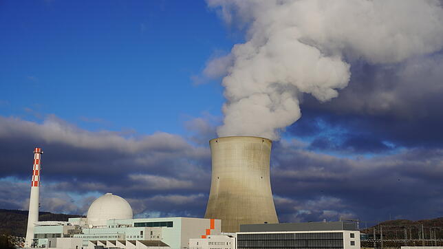 Bis heute das einzige Atomkraftwerk am Hochrhein: Die Anlage in Leibstadt.