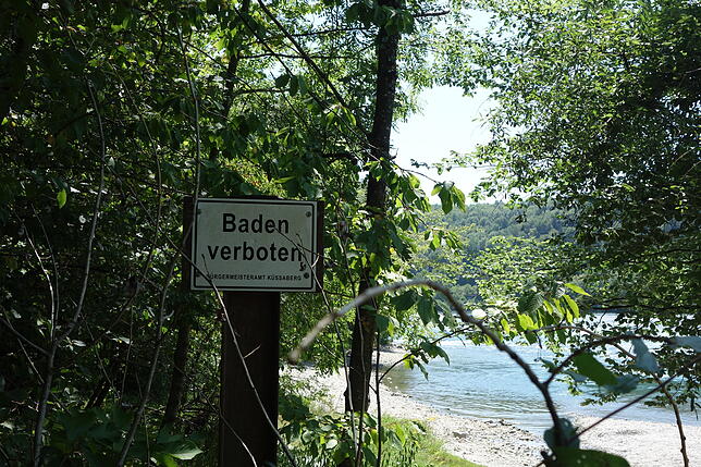 Baden verboten: Ein Warnschild am Rhein auf Höhe von Ettikon. Bild: Tina Prause
