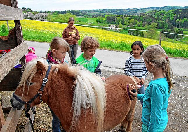 Kinder haben auf dem Bauernhof in Taisersdorf Spaß.