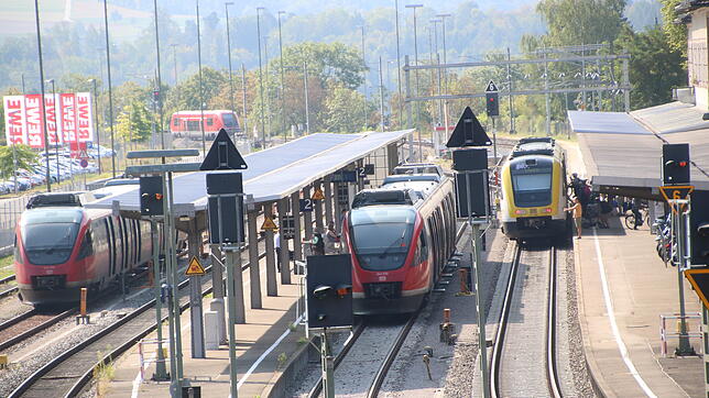Am Waldshuter Bahnhof müssen Pendler in der vergangenen Zeit immer öfter auf ihre Züge warten. Schuld hat oftmals der Triebwagen ...
