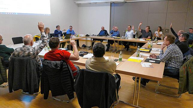 Die Abstimmung des Sauldorfer Gemeinderats gegen das Forschungsprojekt der Bundesgesellschaft für Endlagerung ist denkbar knapp. Bild: ...