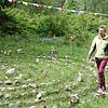 Ein keltischer Steinkreis befindet sich im Matrigarten von Christiane Hammer im Ortsteil Rütte. Ein wesentlich größeres Labyrinth wird ...