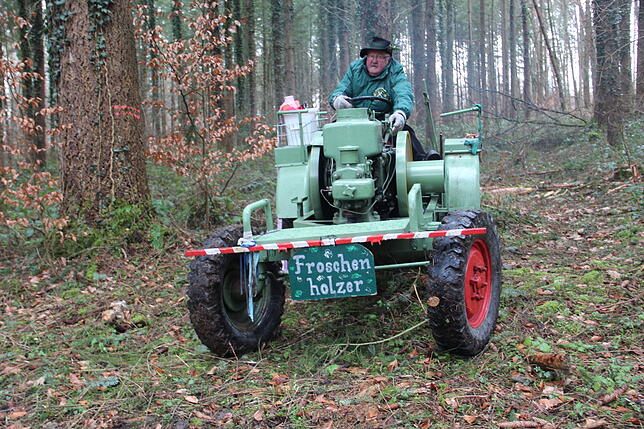 Bild 14: Bilder vom Einholen der Narrenbäume der Narrizella Ratoldi und der Froschenzunft im Altbohlwald