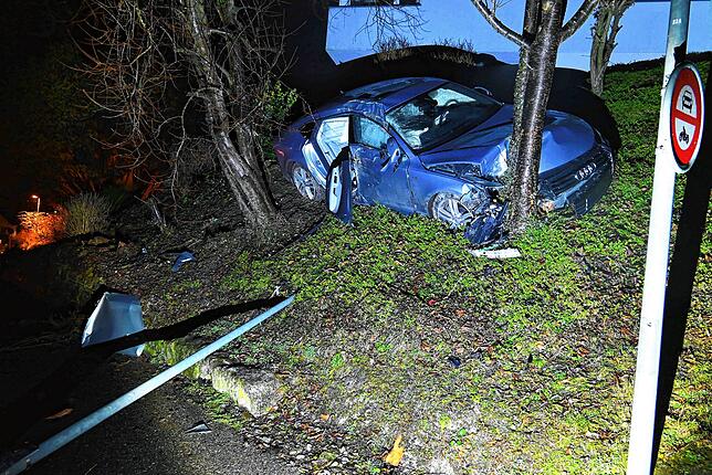 Nach einem spektakulären Unfall kam das Auto an einer Böschung zum Stehen.