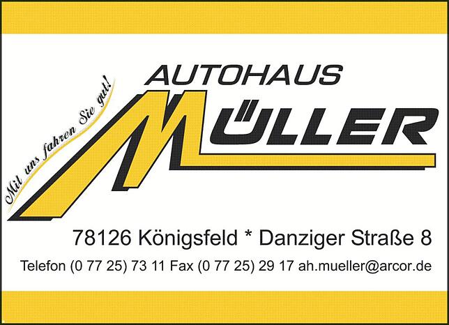 Bild 3: Kreiserntedankfest in Königsfeld-Weiler: Mit Bulldog-Rennen und großem Festumzug