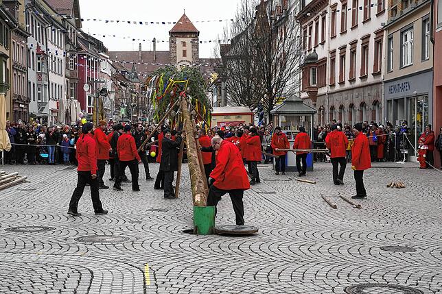Bild 15: 150 Jahre Katzenmusik: Narren feiern das Aufstellen des Narrenbaums und den Katerempfang