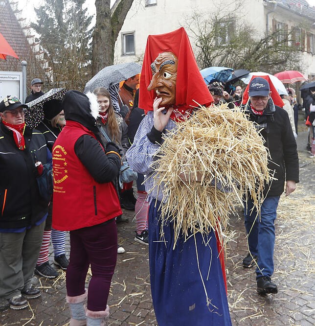Bild 28: Bilder zum großen Narrentreffen in Pfohren (1)
