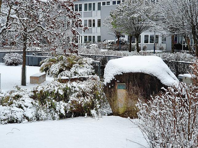 Wie mit einer Schicht aus weißem Zucker wurde der kleine Park beim Rathaus Wutöschingen überzogen.