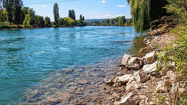 Sommerhitze und das warme, klare Wasser, hier in Kadelburg, laden zum Baden und Schwimmen ein. Viele unterschätzen die Gefahr.