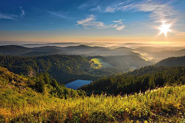 Das Naturschutzgebiet Feldberg ist das älteste und größte in Baden-Württemberg.