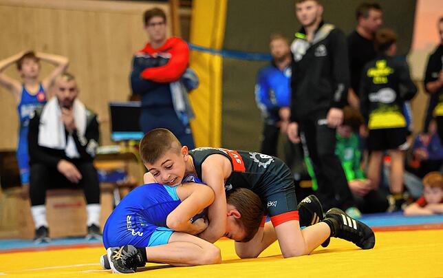 Bild 5: Nachwuchsringer begeistern bei Eiche Radolfzell. Unsere Bildergalerie vom Bodensee Cup!