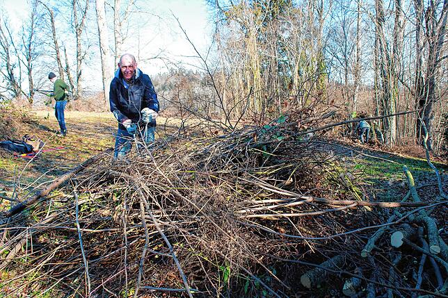 Jürgen Gromball befreit eine Mauer von dichtem Gestrüpp. Die abgeschnittenen Äste werden auf Haufen geworfen und später von Mitarbeitern ...
