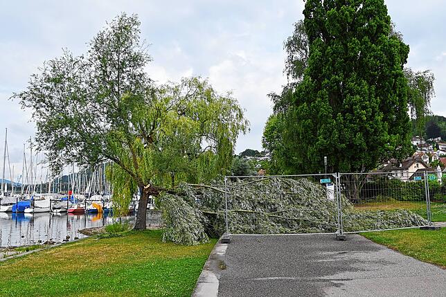 Der Tag nach dem Gewitter. Überall in Bodman-Ludwigshafen sind Schäden zu sehen.