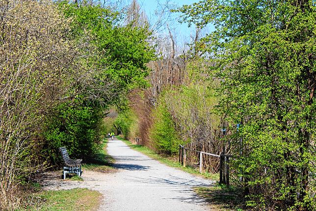 Auch im Naturschutzgebiet zwischen Bodman und Ludwigshafen ist es leer.