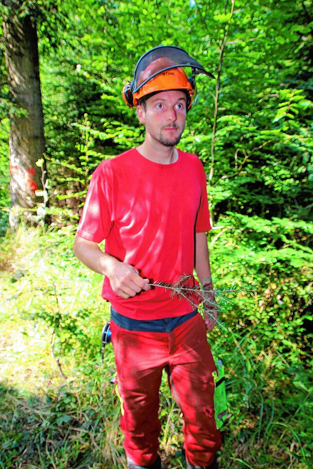 Waldbesitzer Fabian Hager unterstützt die Forstmitarbeiter im Kampf gegen den Borkenkäfer.