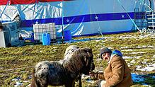 Hinter dem Zelt haben die Tiere viel Auslauf. Bild: Viktoria Novakovic