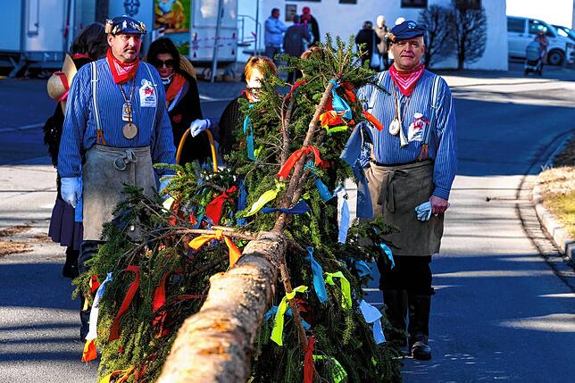 Bild 1: So wird der Narrenbaum am Samstag beim Narrentreffen in Bad Dürrheim aufgestellt!