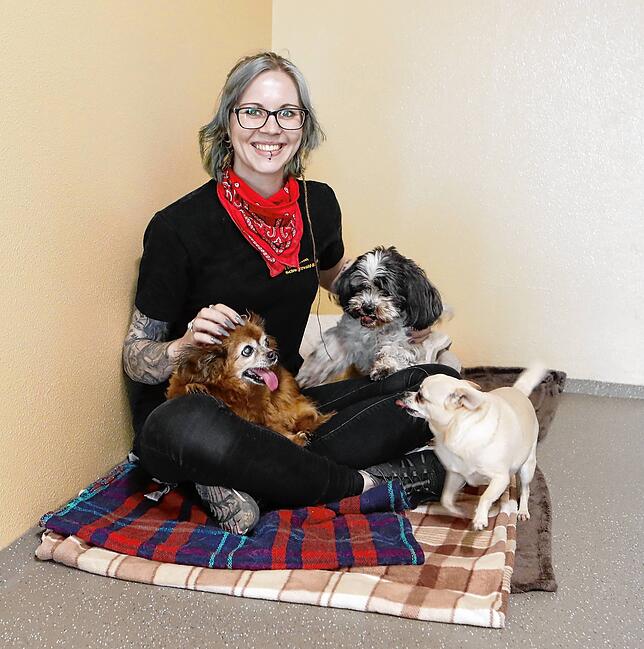 Julia Podgorny mit den Langzeit-Tierheimbewohner Laika, Chantalle und Shila.