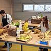 Lilith Bliesath, Tim Boscher, Lara Capitanio und Lina Musterle (von links) formen aus Ton verschiedene Tiere. Der Werkstattraum befindet ...