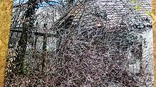 Ein Foto der alten Löhninger Kapelle Zu den vierzehn Nothelfern.