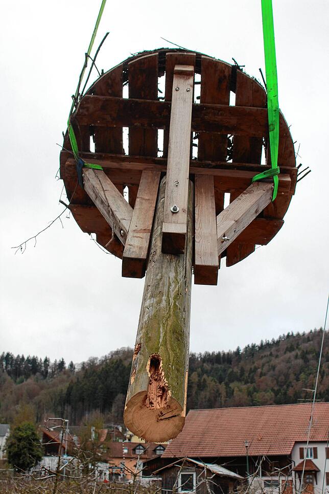 Noch einmal wird deutlich, wie weit sich der Specht in den Stamm gearbeitet hat. Weil das Podest und die Halterungen noch in Ordnung ...