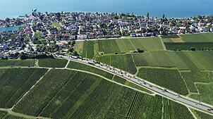 Stau auf der Bundesstraße 31 vor Hagnau. Die B 31 führt mitten durch die Weinberge. Wo genau eine neue Trasse gebaut wird, ist ...