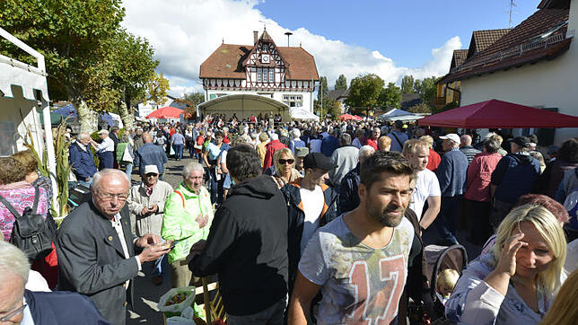 Immer wieder ein Magnet: Tausende Besucher kamen gestern zum Büllefest.