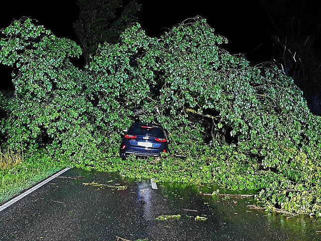 Dieses Auto wurde unter einem umgestürzten Baum begraben.