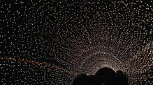 Traumhafte 80 Meter erleben die Besucher im Lichtertunnel.