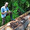 Matthias Schenkl, Förster im markgräflichen Wald, an Baumstämmen, die auf den Abtransport warten. Die Stämme sind vom Borkenkäfer befallen.