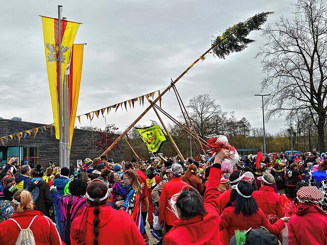 Bild 13: Der Narrenbaum in Kluftern steht