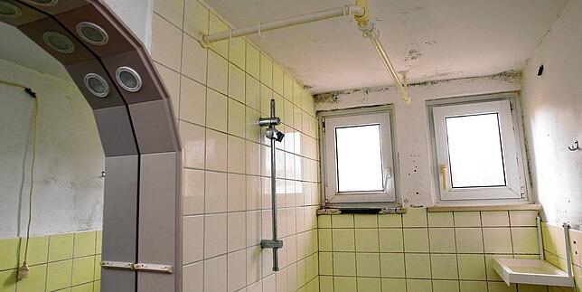 Verschimmelte Innenräume, marode Bausubstanz: Ein Blick in eine der bereits leer stehenden Wohnungen.