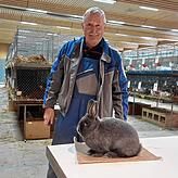 Ein Prachtexemplar ist der Blaue Wiener von Bernd Schmid aus Sauldorf.