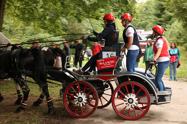 Bild 11: Bilder vom Marathon der Vierspänner beim Reitturnier in Donaueschingen