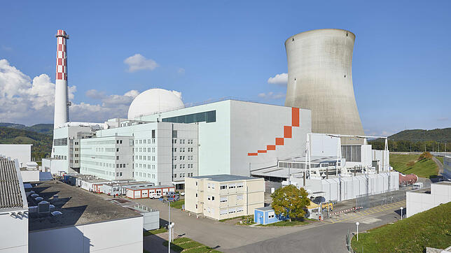 Am Kernkraftwerk Leibstadt hat ein Mitarbeiter Prüfungsprotokolle gefälscht.