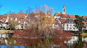 Im Maßnahmenkatalog für den Pfullendorfer Stadtsee steht auch die Sanierung der Mittelinsel.