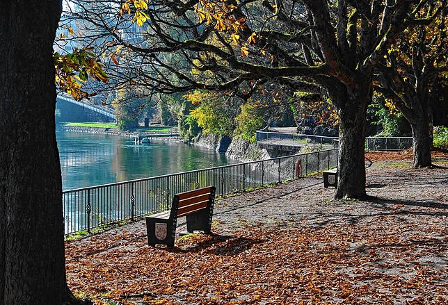 Am beschaulich fließenden Rhein können die Laufenburger auf der Codman-Anlage die letzten Sonnenstrahlen des goldenen Herbstes genießen.