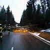 Typisches Bild auf den Straßen des Landkreises Breisgau-Hochschwarzwald am Montagmorgen: Feuerwehrleute beseitigen in Folge des Sturms ...