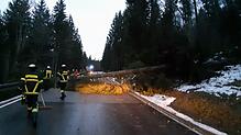Typisches Bild auf den Straßen des Landkreises Breisgau-Hochschwarzwald am Montagmorgen: Feuerwehrleute beseitigen in Folge des Sturms ...