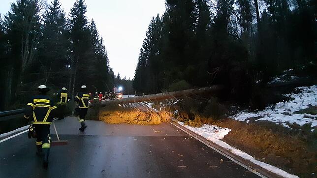 Typisches Bild auf den Straßen des Landkreises Breisgau-Hochschwarzwald am Montagmorgen: Feuerwehrleute beseitigen in Folge des Sturms ...