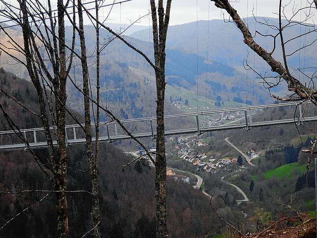 Blick nahe des Besucherzentrums über die Brücke hinweg nach Todtnau, das unten im Tal liegt.