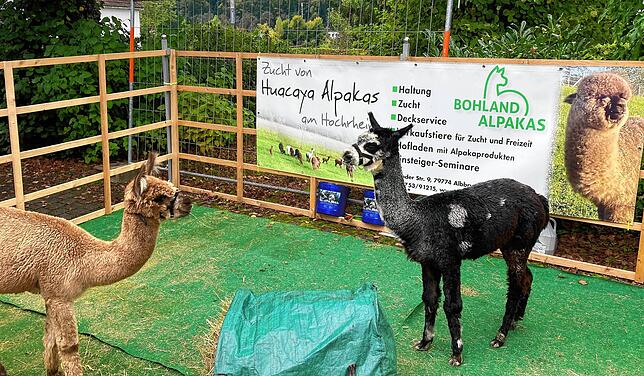 Bild 2: Vielfalt und Gemeinsamkeit beim Naturparkmarkt in Wallbach
