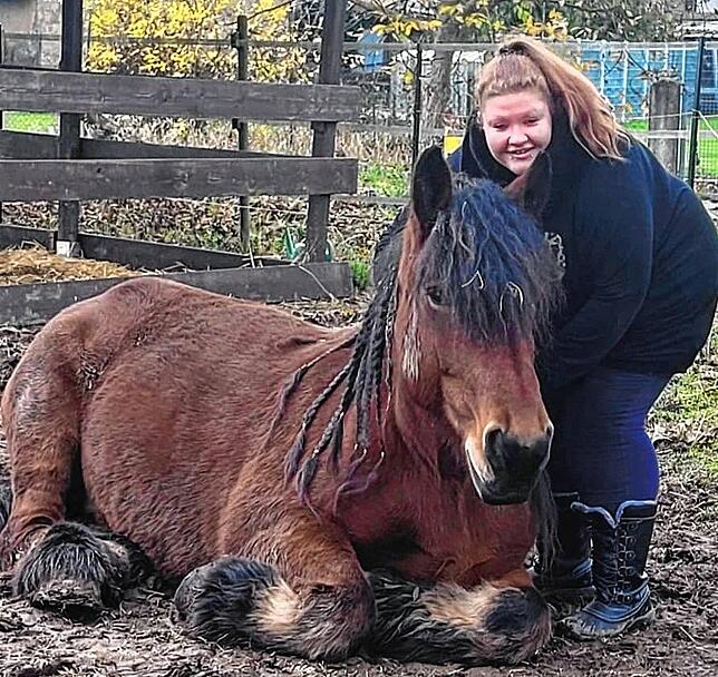 Dorothea Lüdorf aus Blumberg freut sich über viele Anfragen und Bewerbungen, damit sie möglichst vielen Kindern in der Vorweihnachtszeit ...
