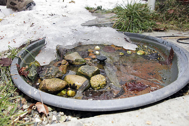 Die Eigenbau-Wassertränke ist für Vögel auch im Winter wichtig.
