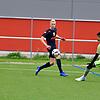 Bild :